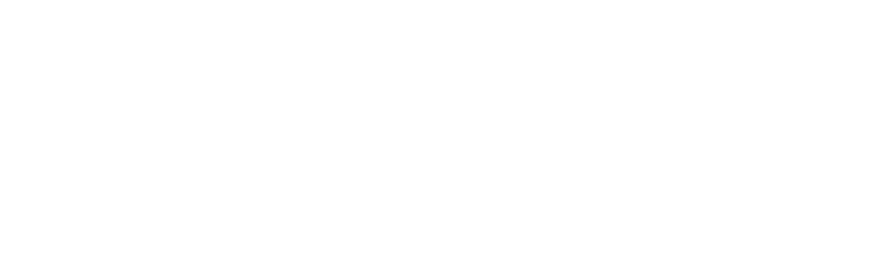 VS Logo w Tag_Reverse_RGB_Web